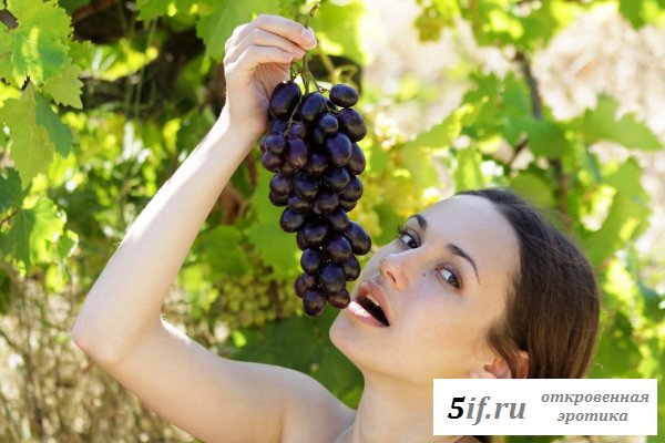 Голая девица на элитном винограднике в Крыму (10 фото)