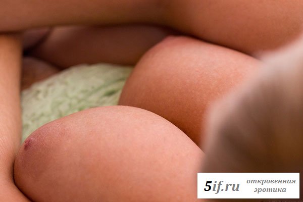 Крупным планом показывает тити большегрудая самка Крупным планом показывает тити большегрудая самка