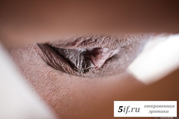 Голые развратные фото девушки Голые развратные фото девушки