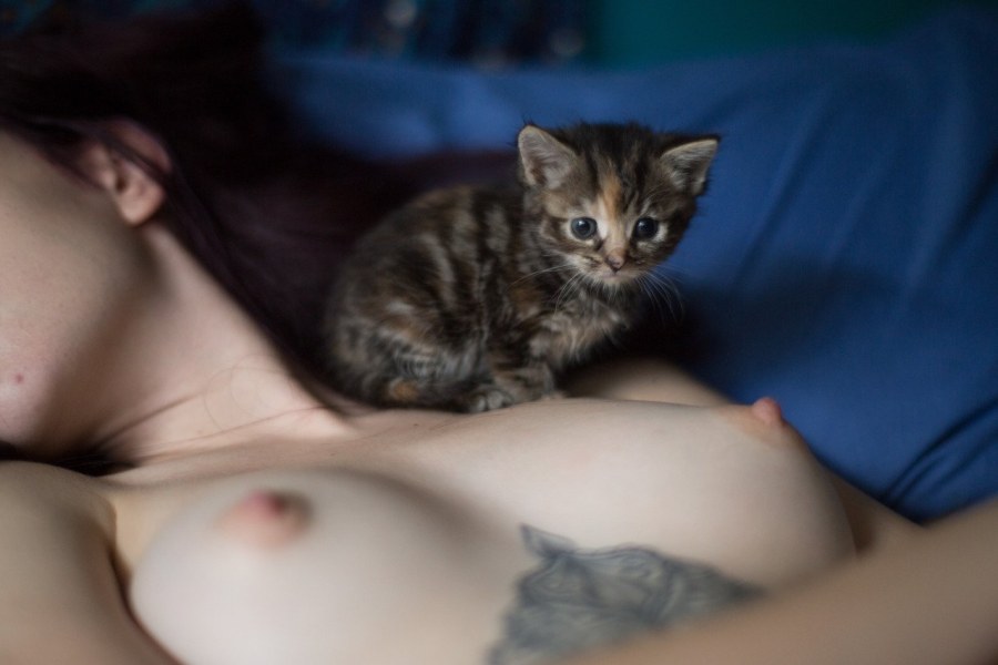 Маленькая кошечка хентай