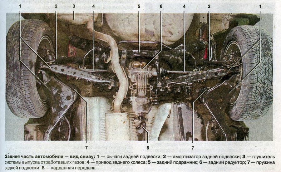 Волосатая вагина взрослой дамы