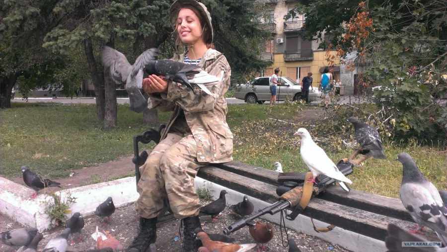 Елена Веснина в плэйбой