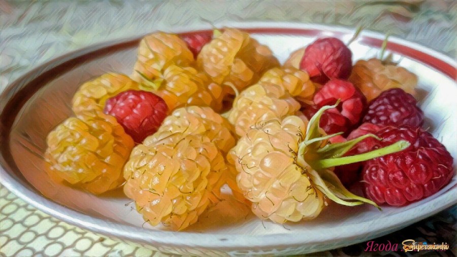 Нарисованный логотип малина