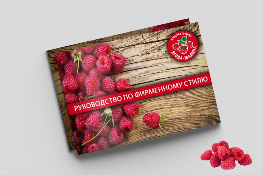 Малина картинка для детей на белом фоне